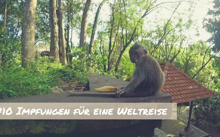Weltreise Impfungen