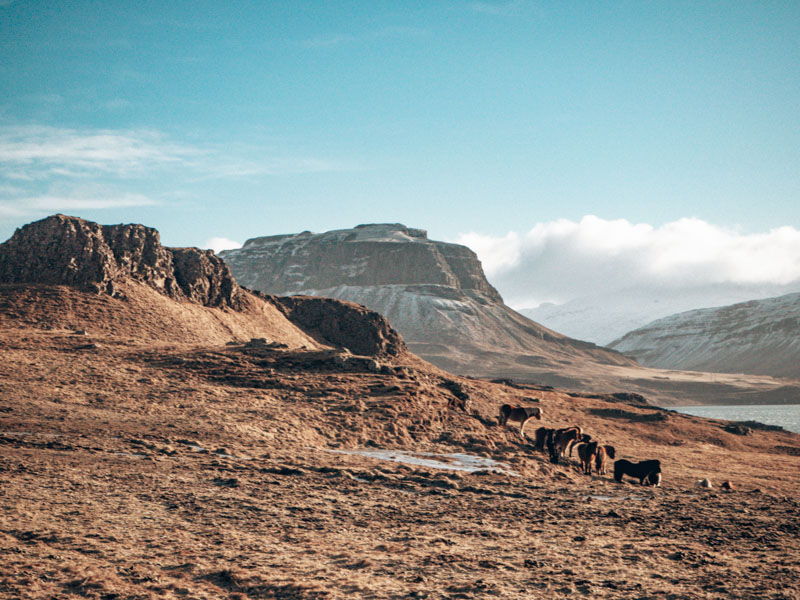 Island Roadtrip Landschaft