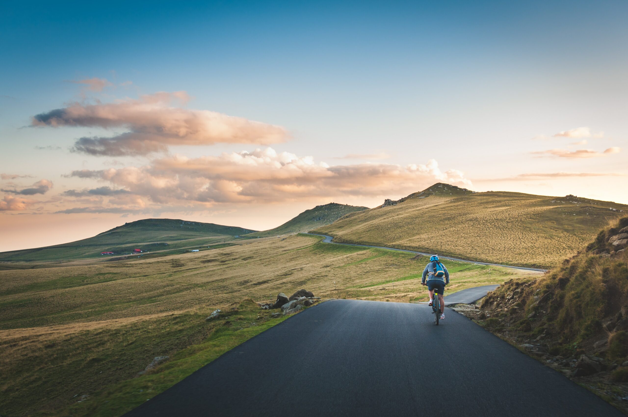 david-marcu-VfUN94cUy4o-unsplash david-marcu-VfUN94cUy4o-unsplash