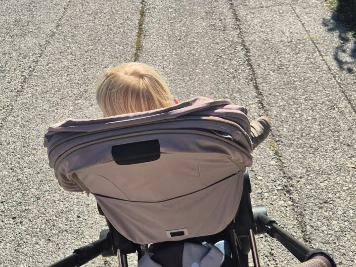 Finn im Reisebuggy von hinten auf einem Weg